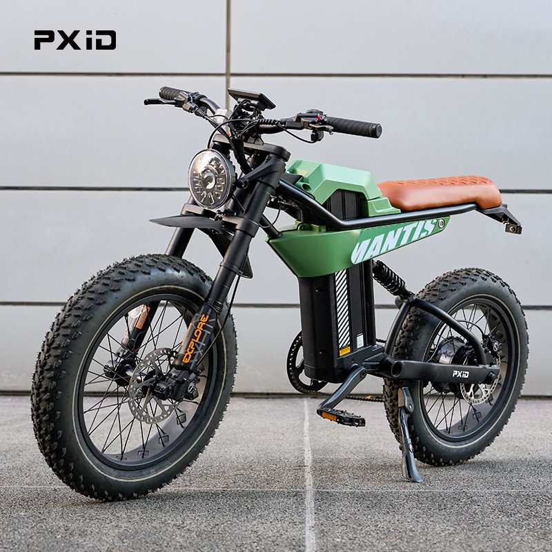 Pass CE UL Certification e bike 1000w 20 inch fat e bike all terrain off road electric bicycle electric city bike