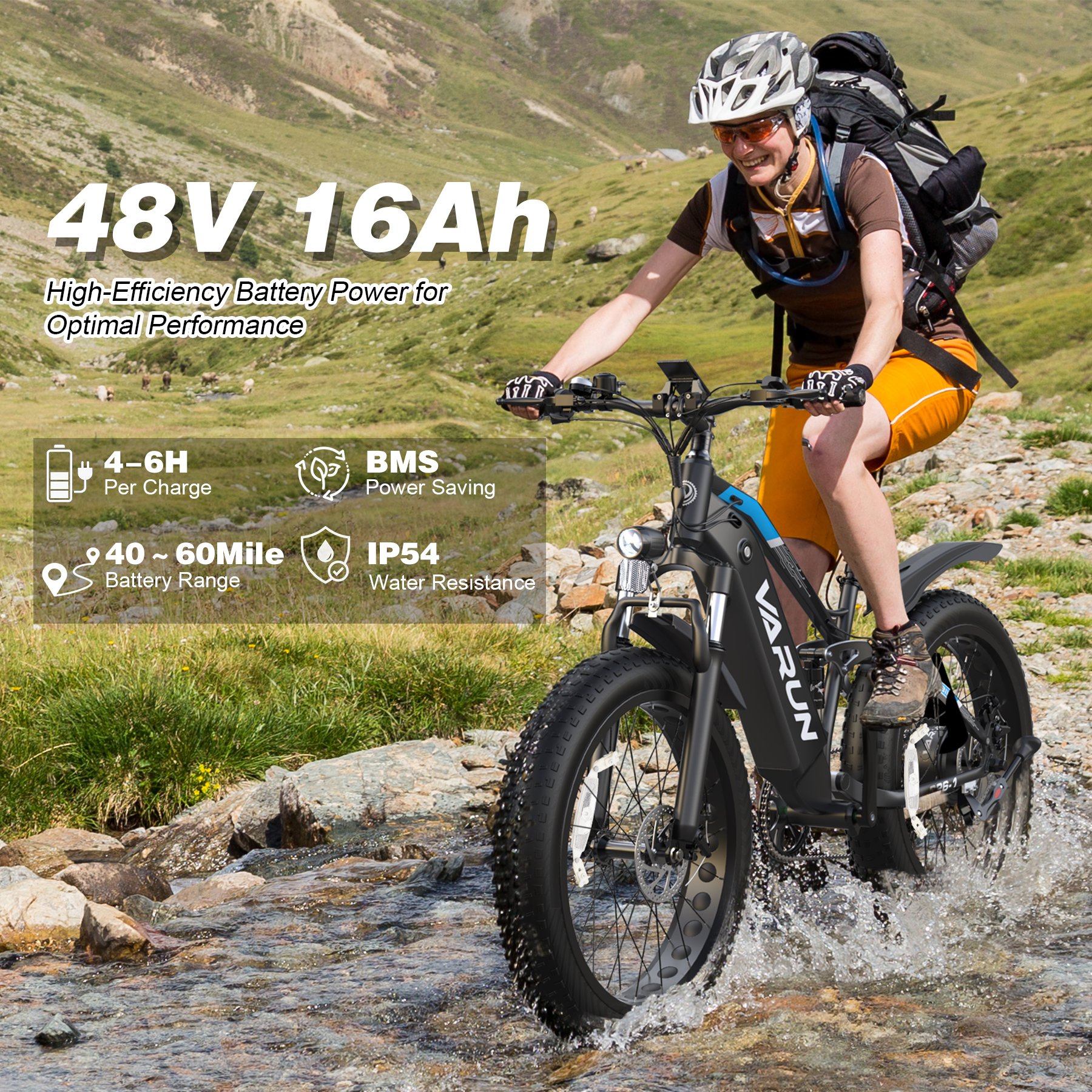 VARUN Warehouse Stock Dropshipping Full Susponsion 750W 26 Inch Fat Tire Electric Mountain Bike 48V 16.8AH Long Rong Best E-Bike