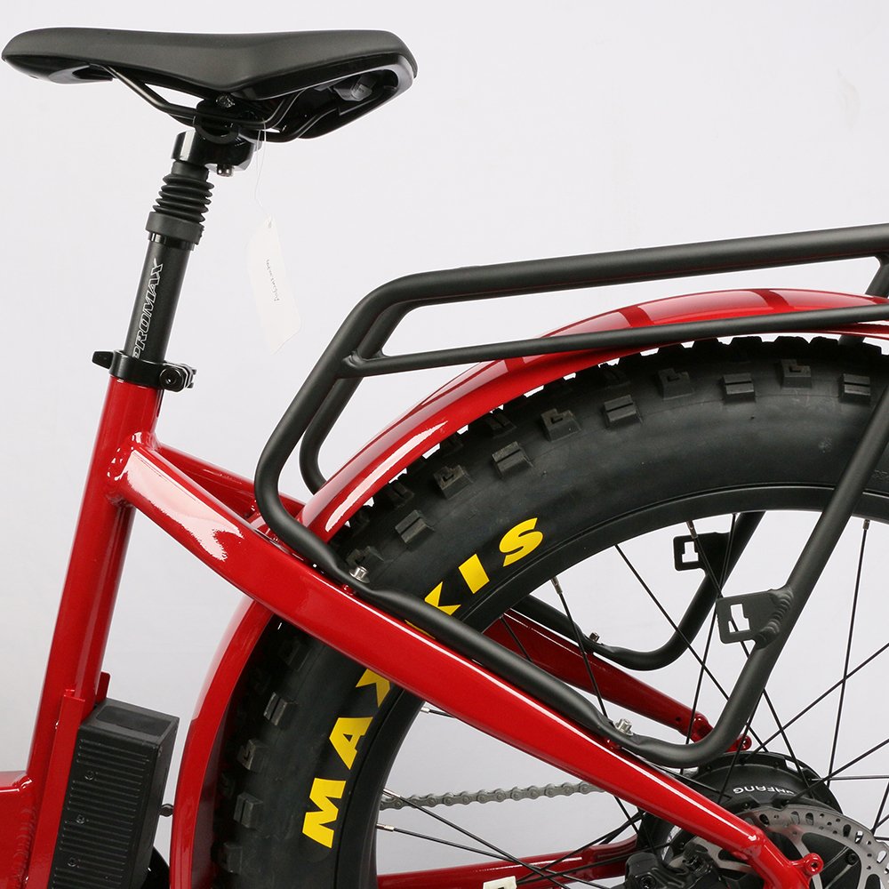 Retro ebike NEW electric bicycle 1000W electric mountain bike dual motor dual battery big power e bike