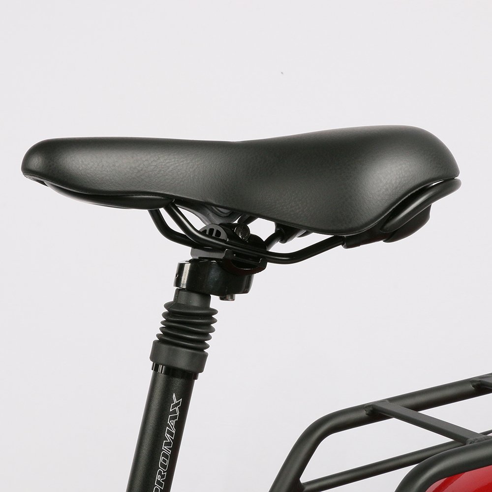 Retro ebike NEW electric bicycle 1000W electric mountain bike dual motor dual battery big power e bike