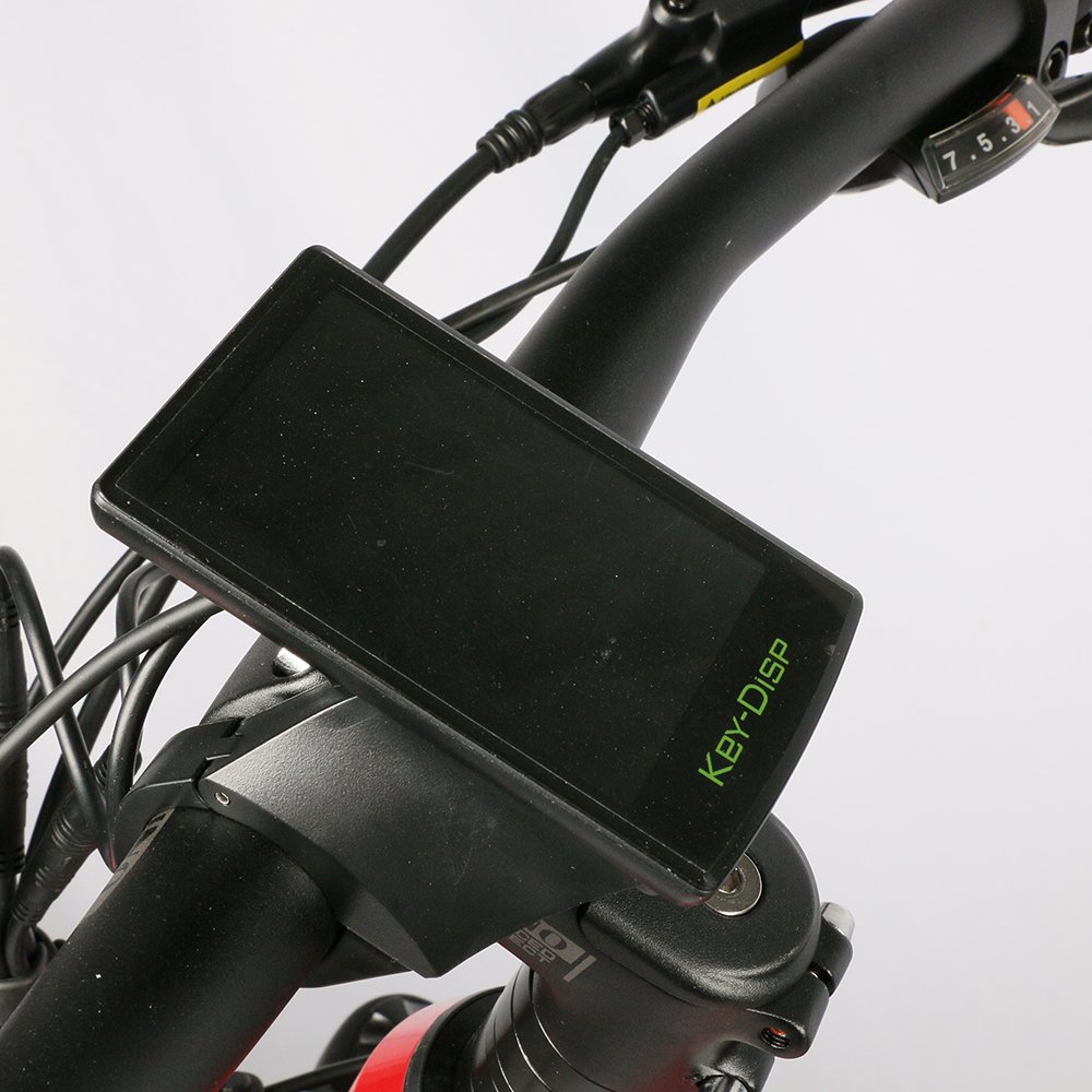 Retro ebike NEW electric bicycle 1000W electric mountain bike dual motor dual battery big power e bike