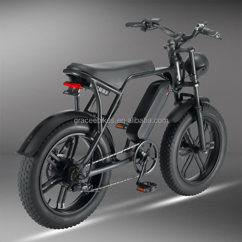 20 inch Electric Bicycles OUXI V8 250W/1000W Motor Electric Bike Mountain Bicycle City All Terrain E-bike