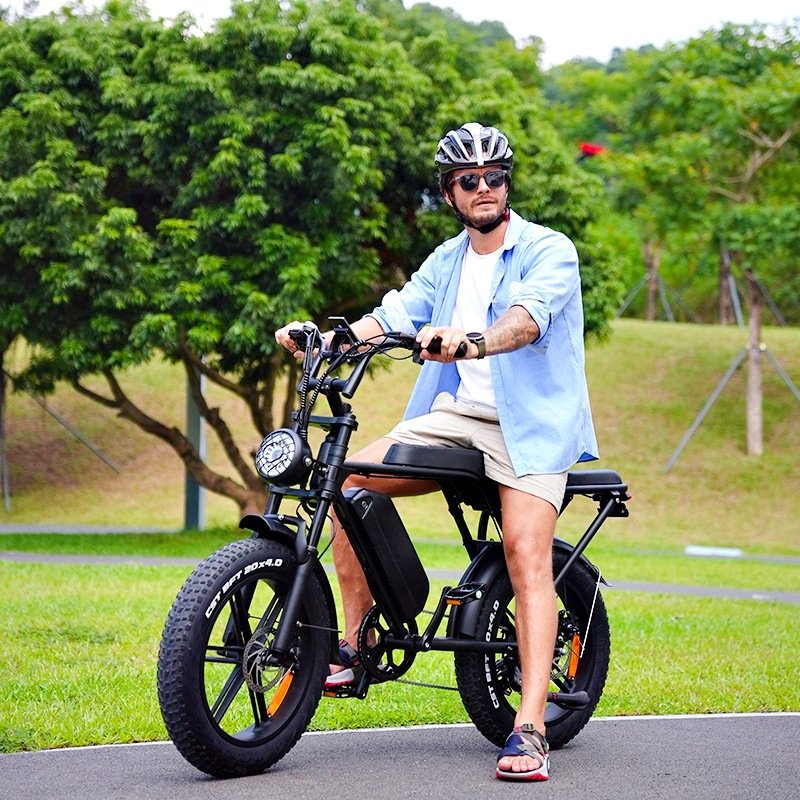 20 inch Electric Bicycles OUXI V8 250W/1000W Motor Electric Bike Mountain Bicycle City All Terrain E-bike