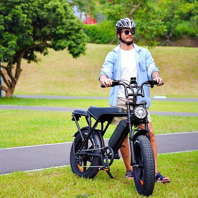 20 inch Electric Bicycles OUXI V8 250W/1000W Motor Electric Bike Mountain Bicycle City All Terrain E-bike