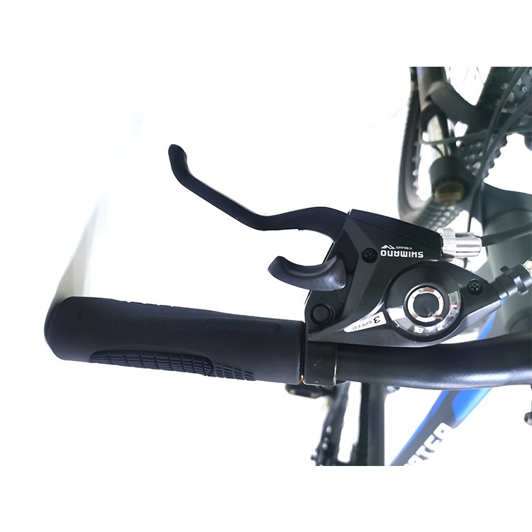 29 Inch Mountain Bike with Shimano Disc Brake