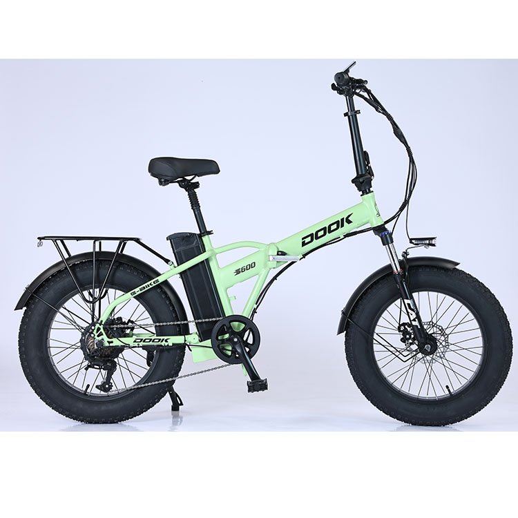 Electric bike 20 Inch 1000W Folding Electric Mountain Bike Aluminium Alloy Lithium Battery E-bike Competitive price Ecycle