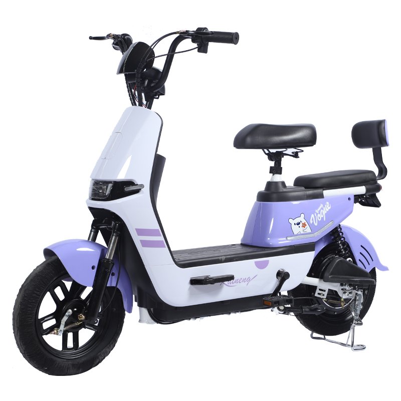 Paige Electric bike 200 kg load kits with battery bicycle mtb full suspension 350w e-bike woman e-bicycle cycles for men ebike