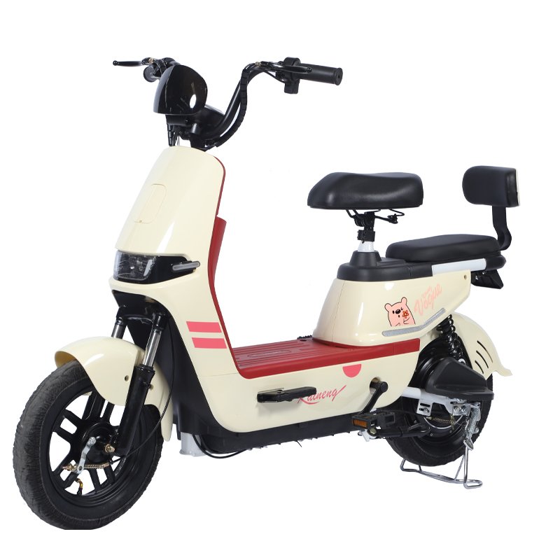 Paige Electric bike 200 kg load kits with battery bicycle mtb full suspension 350w e-bike woman e-bicycle cycles for men ebike