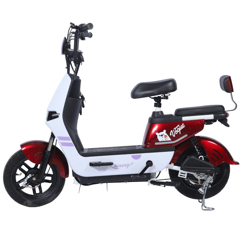 Paige Electric bike 200 kg load kits with battery bicycle mtb full suspension 350w e-bike woman e-bicycle cycles for men ebike