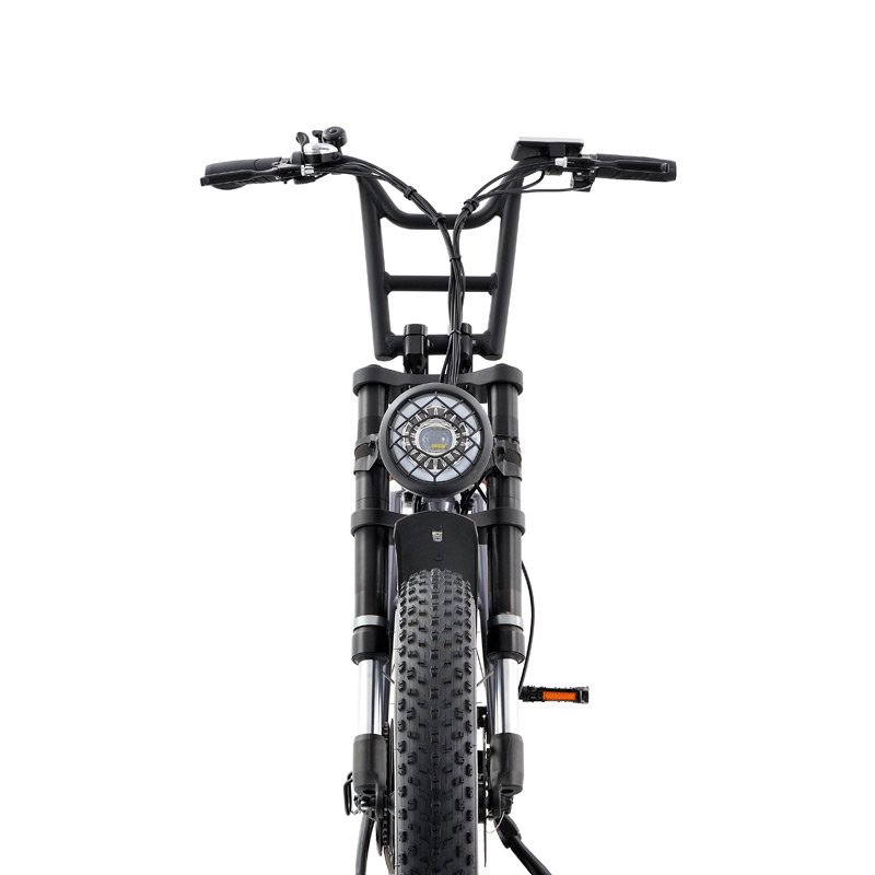 48v 500W rear motor ebike 20 inch fat tire electric city bike