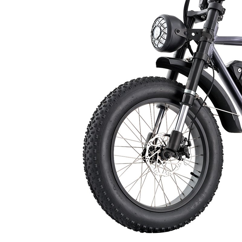 48v 500W rear motor ebike 20 inch fat tire electric city bike