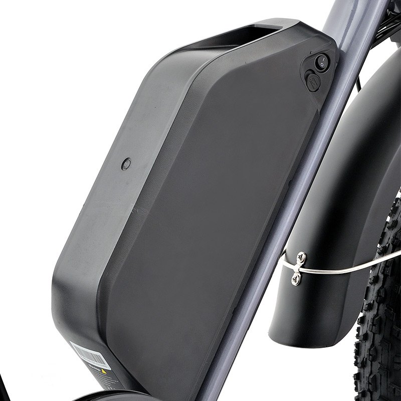 48v 500W rear motor ebike 20 inch fat tire electric city bike