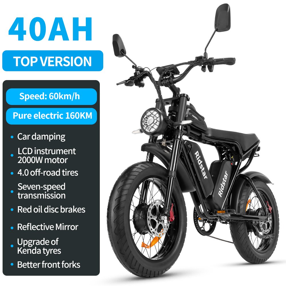 2000W Motor Electric Bike Adults 20'' City Ebike 52V 40AH Double Battery LCD Display 7 Speed Electronic Fat Tire Sand Beach Snow