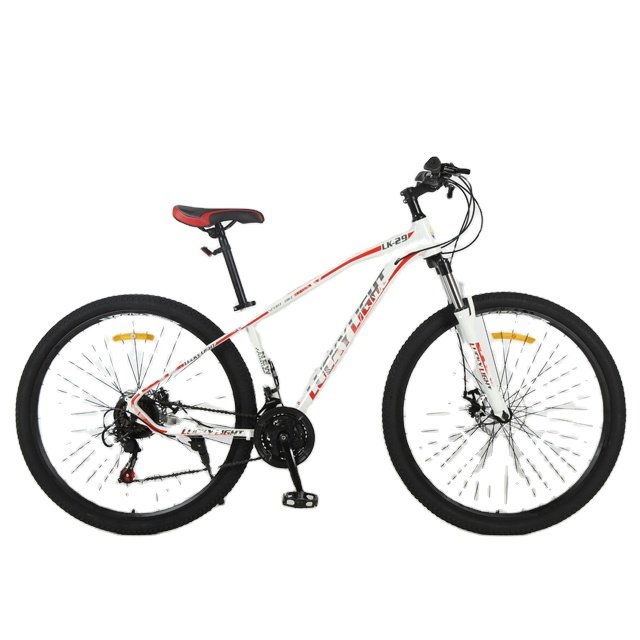 29-Inch Aluminum Alloy Double-Layer Rim Cheap Mountain Bike Mountain E Bike