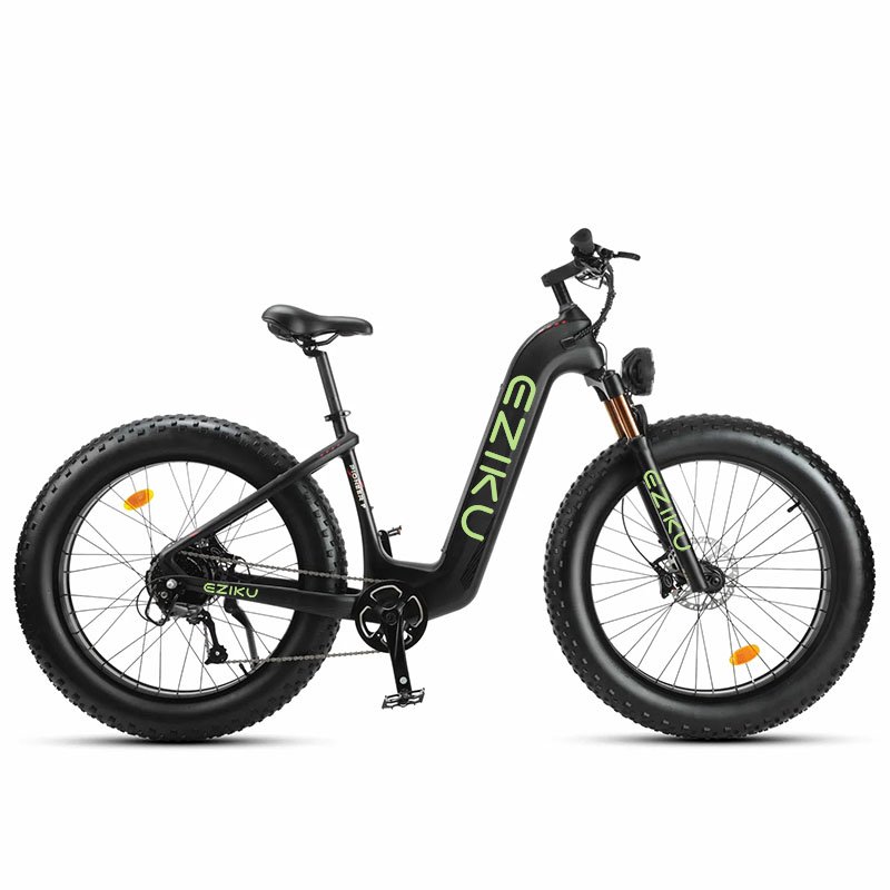 Eziku 1000W Electric City Bike for Adults Hot Sale with Sam sung 20Ah Removable Battery and Shimano 9 Speed 95NM Fat Tire Ebike