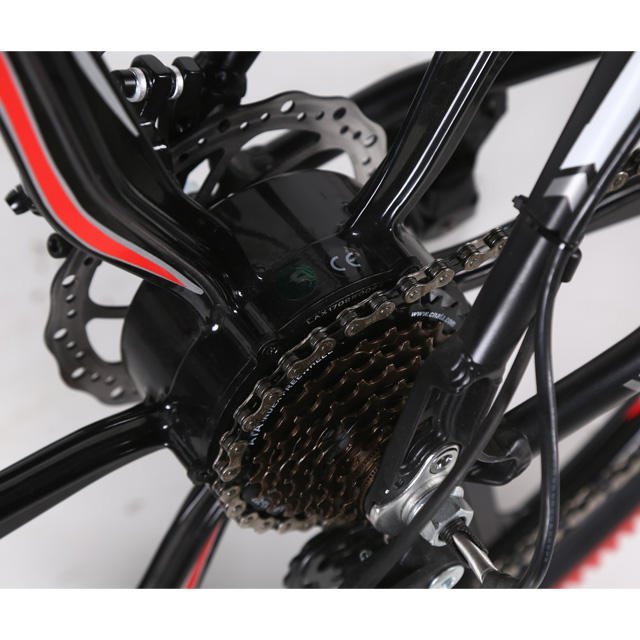 Popular promotional exquisite disc brake electric bicycle mountain e bike