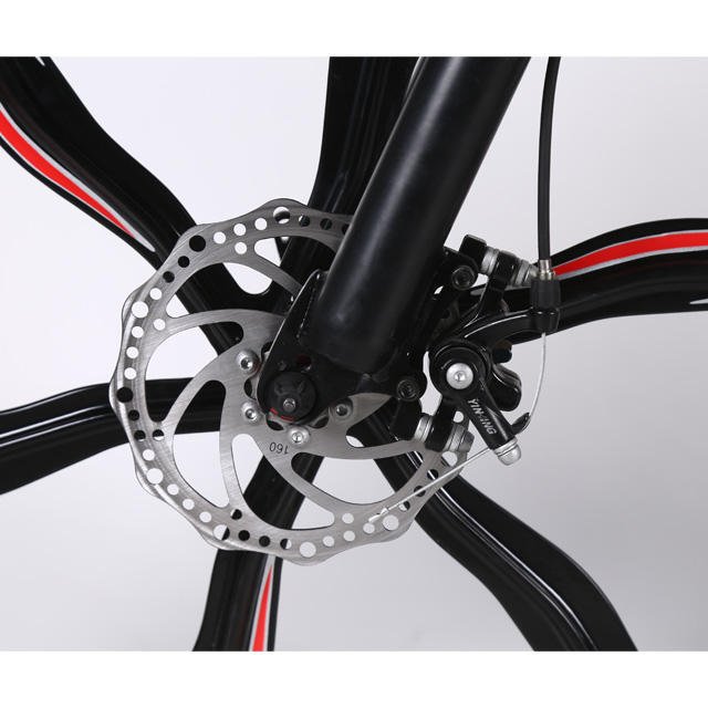 Popular promotional exquisite disc brake electric bicycle mountain e bike