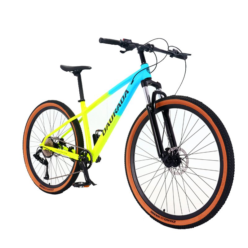 DAURADA Aluminium alloy 29 inch 10 speed bicycle for mens full suspension mtb trail all mountain bike