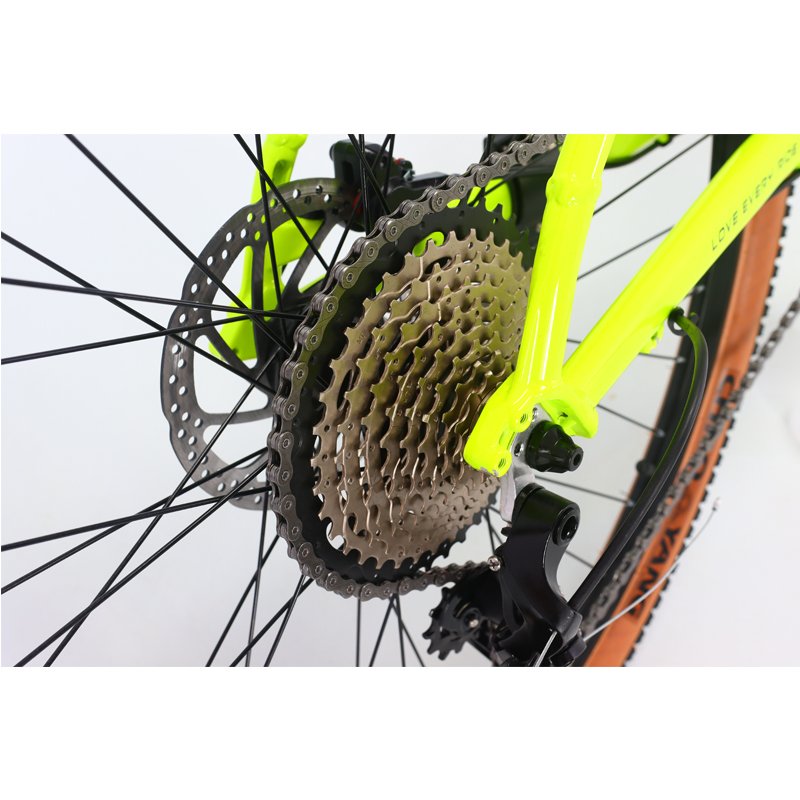DAURADA Aluminium alloy 29 inch 10 speed bicycle for mens full suspension mtb trail all mountain bike