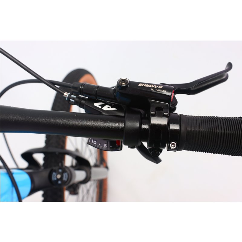 DAURADA Aluminium alloy 29 inch 10 speed bicycle for mens full suspension mtb trail all mountain bike