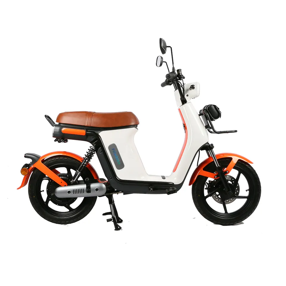 EEC COC Electric Motorbike classic Scooter long range with pedal assist 250W EU standard city ebike and faster shipping