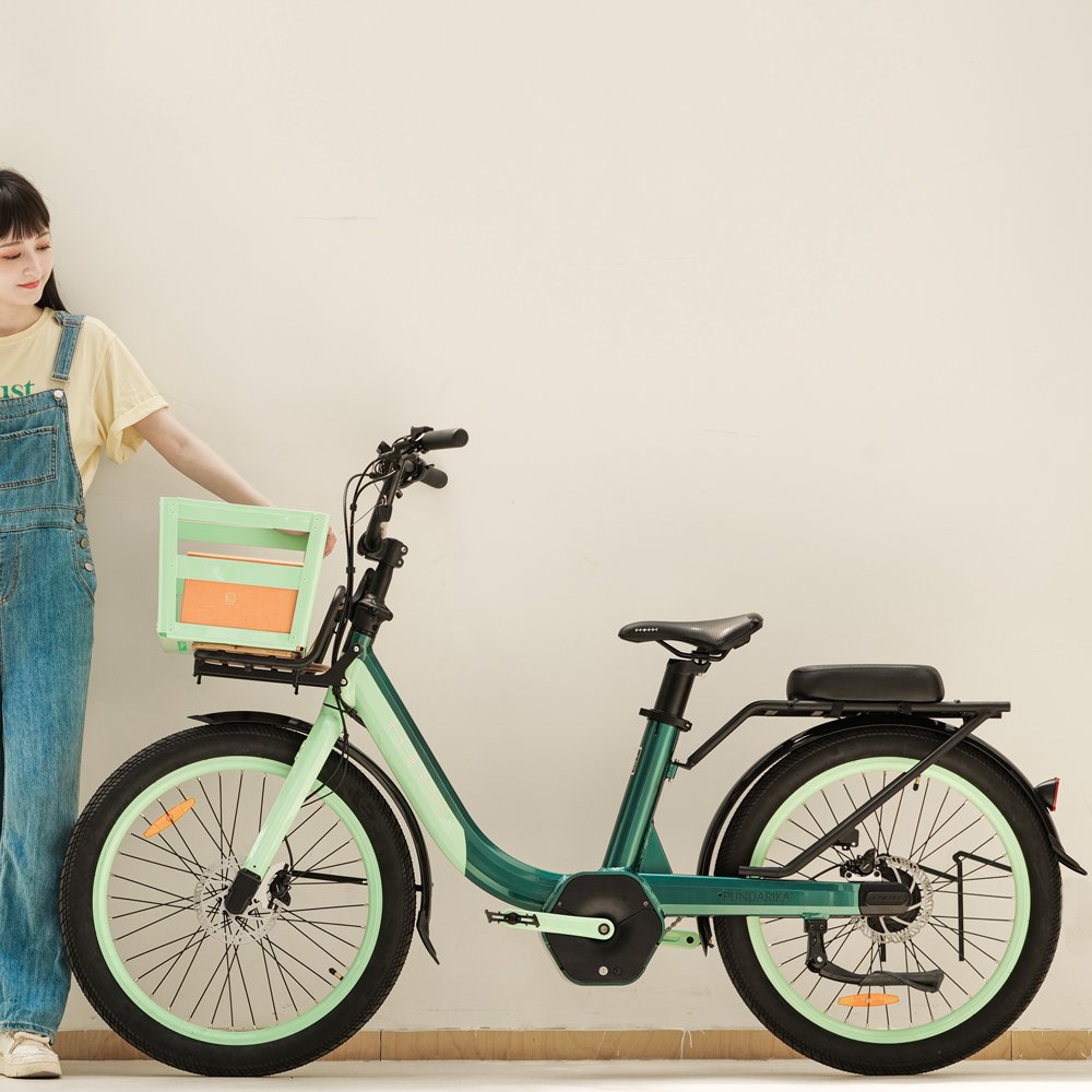 electric bike manufacturer 24inch women urban step through electric city bike
