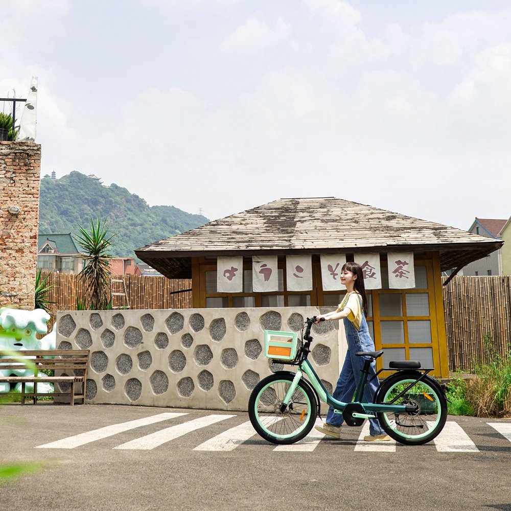 electric bike manufacturer 24inch women urban step through electric city bike