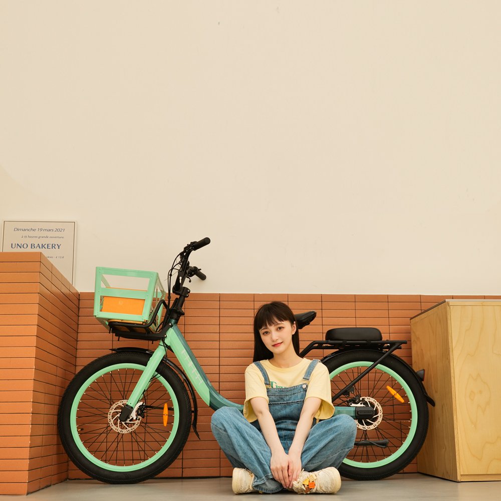 electric bike manufacturer 24inch women urban step through electric city bike