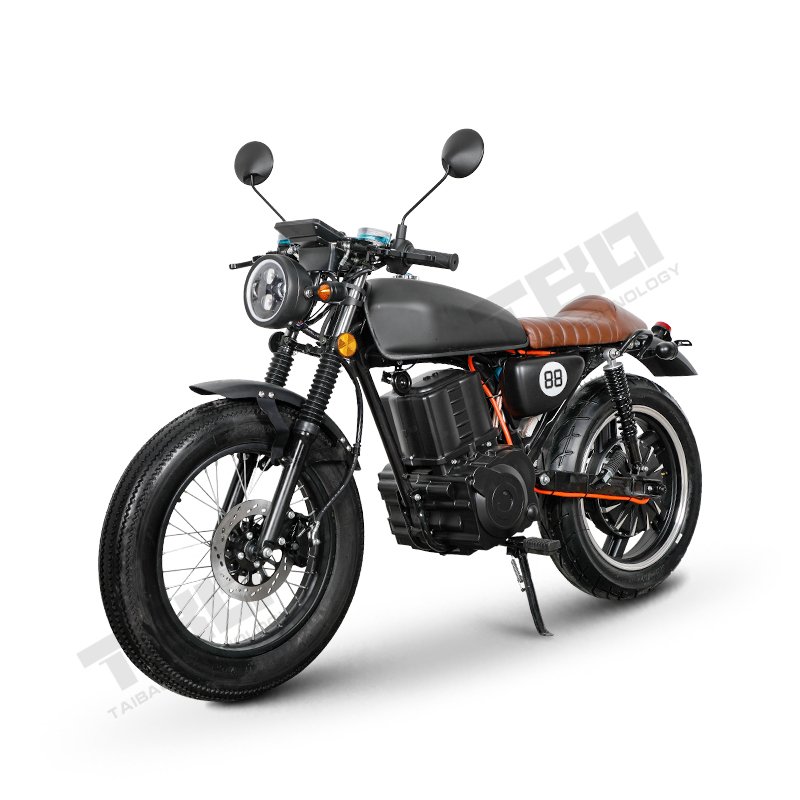 2000W 3000W Famous Adult Electric Motorcycle Luxury Motorcycle