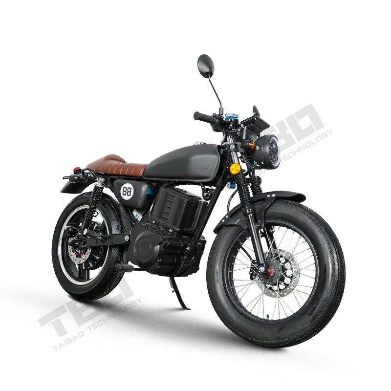 2000W 3000W Famous Adult Electric Motorcycle Luxury Motorcycle