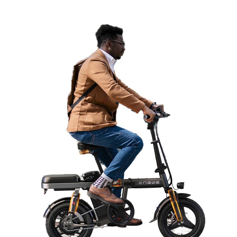 Mini 400W 48V Electric City Bike 14 Inch Foldable Adult Battery Power Scooter with Lithium Battery Folding Electric Bicycle