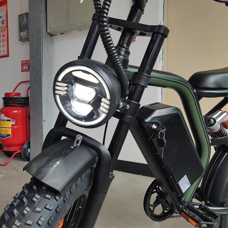 New Model e-bike 48v 500w Electric Bicycle 1000w E Bike long range Fat Tire electric mountain bike