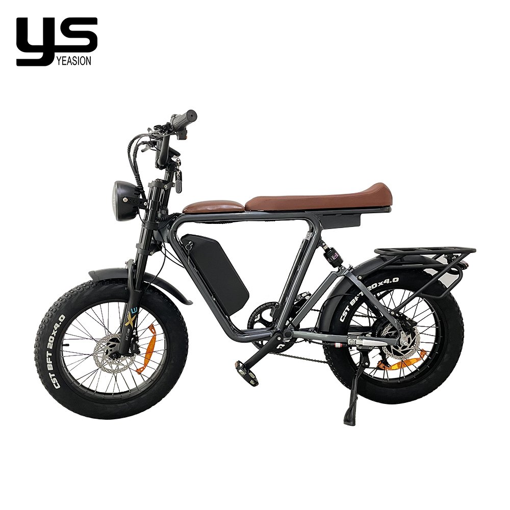 1000W Ebike Fat Tyre 48V Dual Battery Triple batteries Long Range Electric Bicycle emtb full suspension electric mountain bike