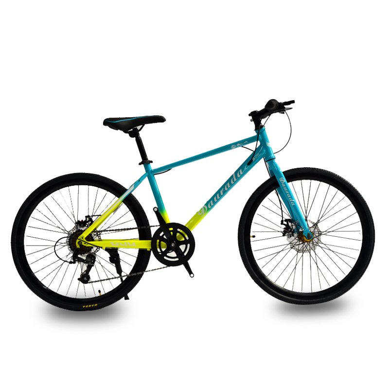 Hot sale biskilet mountain bike 24 inch kids bike children bicycle for 10 year old child