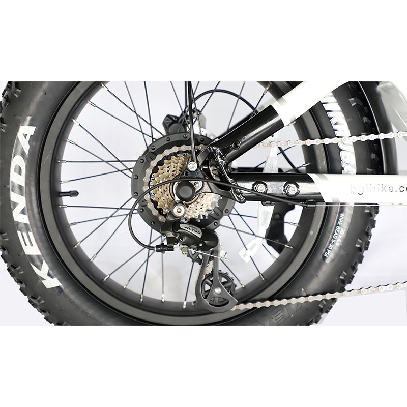 OEM Factory Electric Hybrid Step-over Mountain Bike 48v/52V e Hub Motor Lithium Battery 250w-350w Motor VE E chopper
