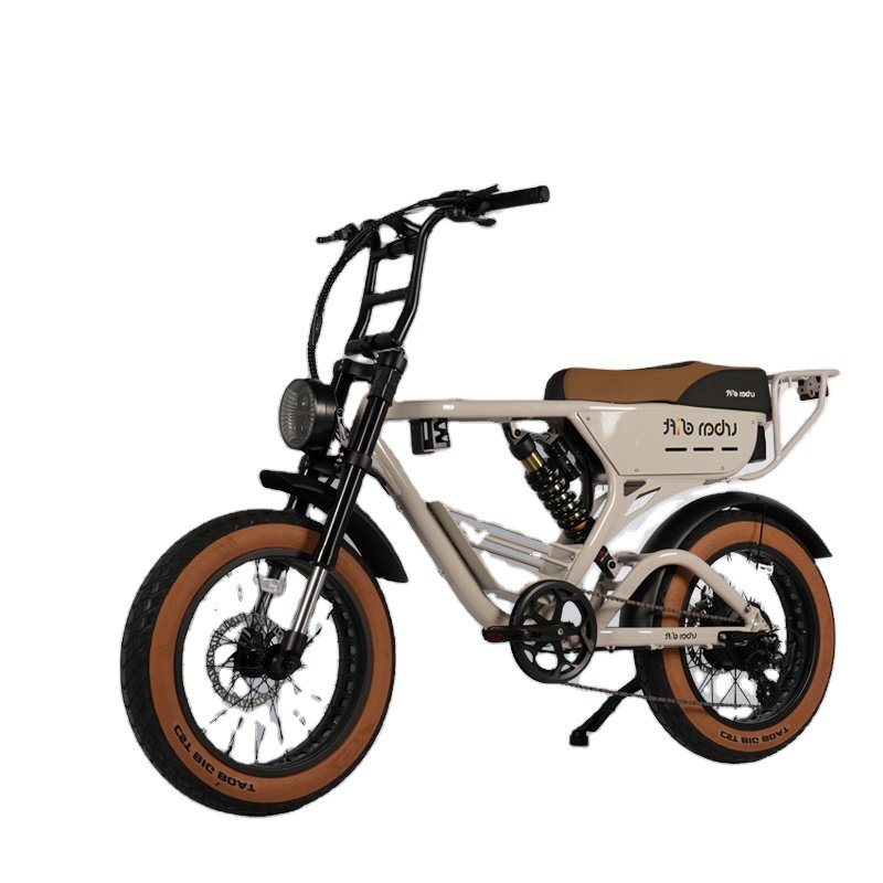 OEM Factory Electric Hybrid Step-over Mountain Bike 48v/52V e Hub Motor Lithium Battery 250w-350w Motor VE E chopper