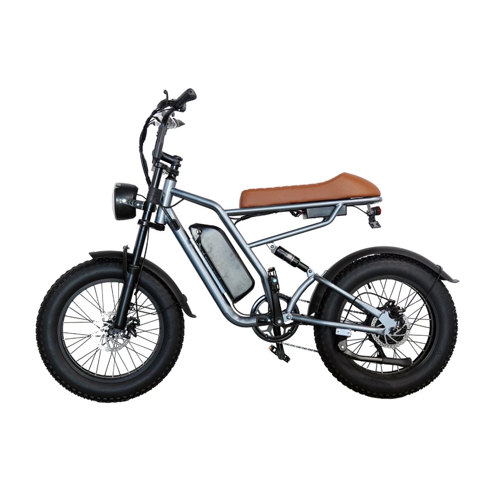 Iron Framing 20 Inch 500w Electric Mountain Bike Motorcycle M1 Commute With 5-Speed Acceleration