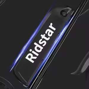 Ridstar Q20 Mini Buggy 1000W Fat Tire Electric Bike Electric Mountain Bike