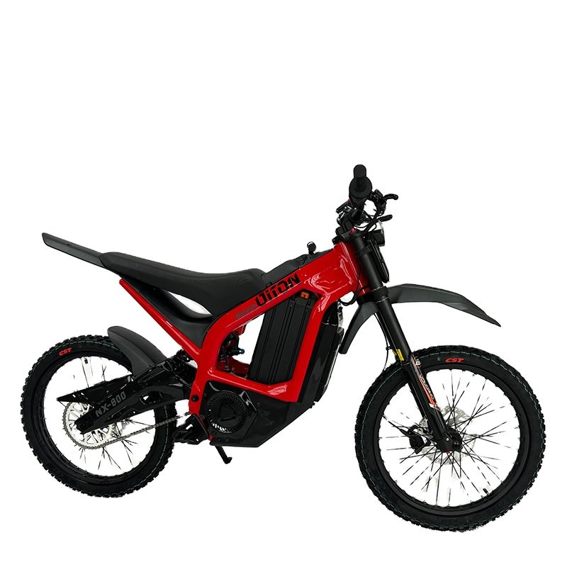Electric scooter Electric motorcycle Cheap Wholesale fast 85km/h dirt bike for adult off road