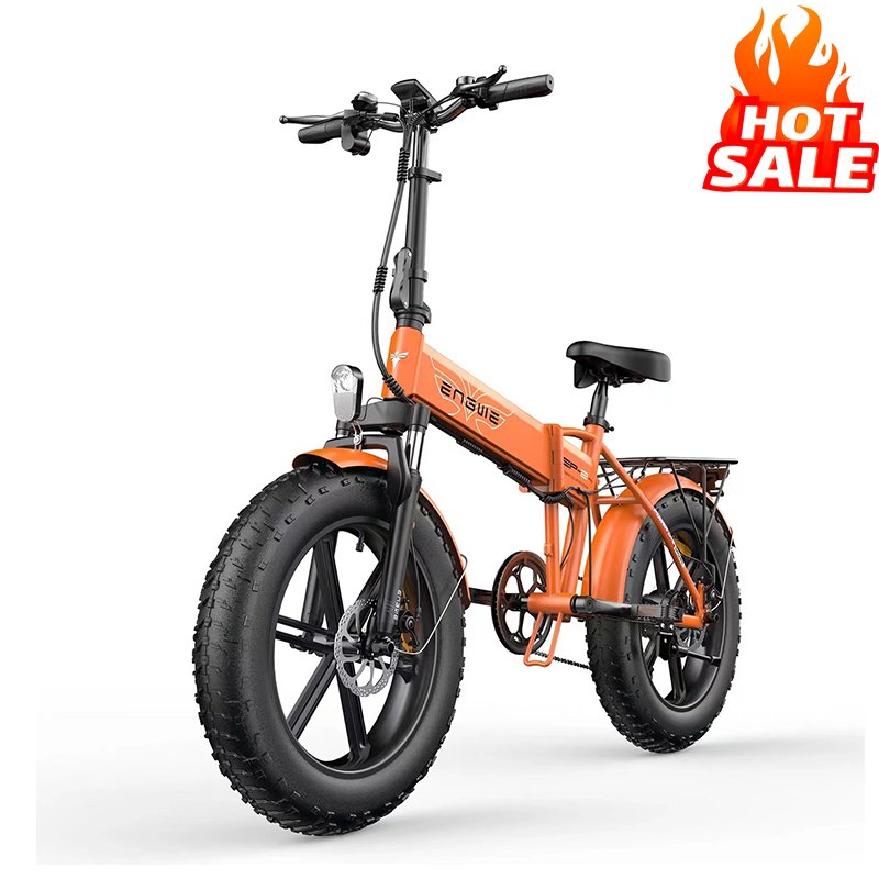 EP-2PRO EU Electric bike 48V13AH 20*4.0 fat Tire Bike 250W Powerful Motor 7 Speeds electric Bicycle 25KM/H Mountain Snow ebike