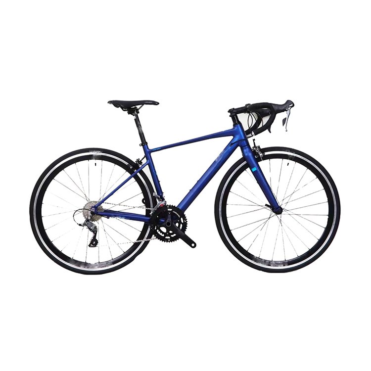 road bike carbon bicycle R10 Disc brake RS 22speed professional road bike on sale 700C cycle cheap carbon roadbike
