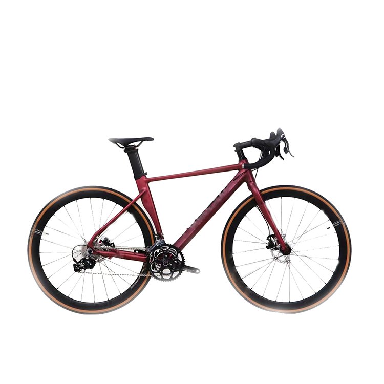road bike carbon bicycle R10 Disc brake RS 22speed professional road bike on sale 700C cycle cheap carbon roadbike