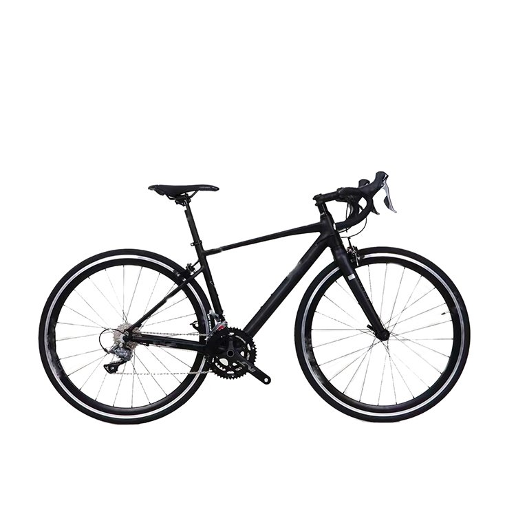 road bike carbon bicycle R10 Disc brake RS 22speed professional road bike on sale 700C cycle cheap carbon roadbike
