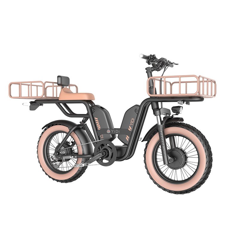 20 inch Electric Bike Fat Tire Electric Bicycle Ebike Electrically City Bike 750w 1500w