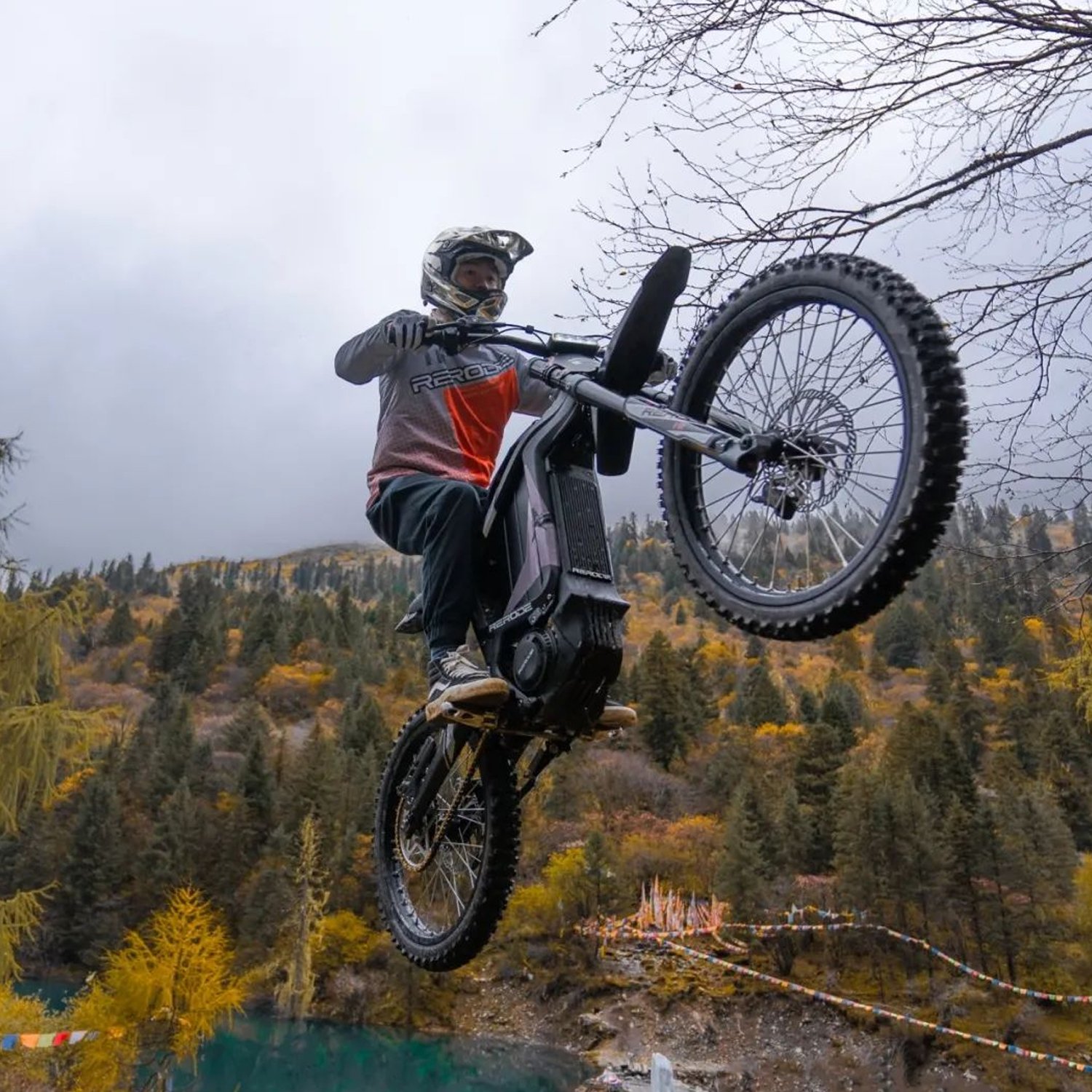 High Performance 26inch Fat Tire Mountain Electric Bike With 48v 2000w/3000w Rear Motor Electric Bike