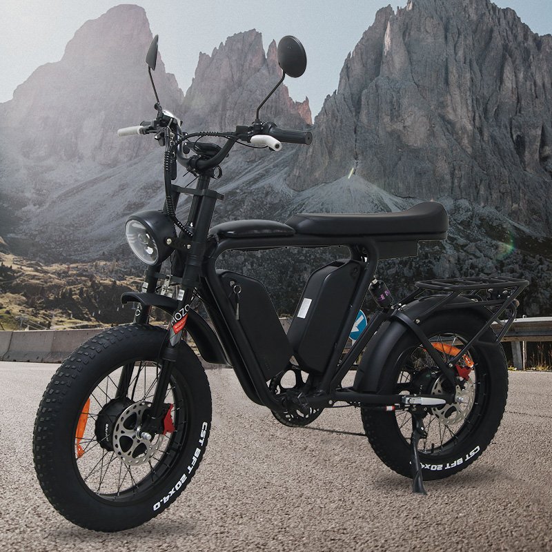 Popular maximum speed 55km/h1000w motor multi-function lightweight adult electric bike 48V 22ah electric mountain bike