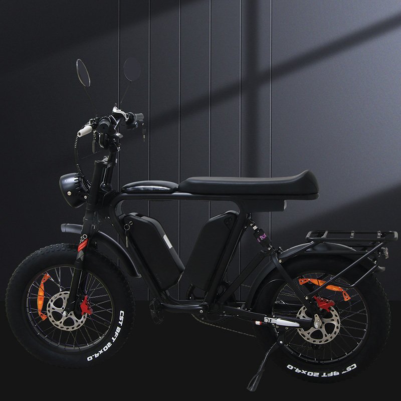 Popular maximum speed 55km/h1000w motor multi-function lightweight adult electric bike 48V 22ah electric mountain bike