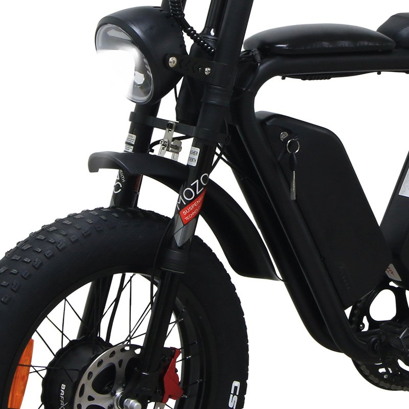 Popular maximum speed 55km/h1000w motor multi-function lightweight adult electric bike 48V 22ah electric mountain bike