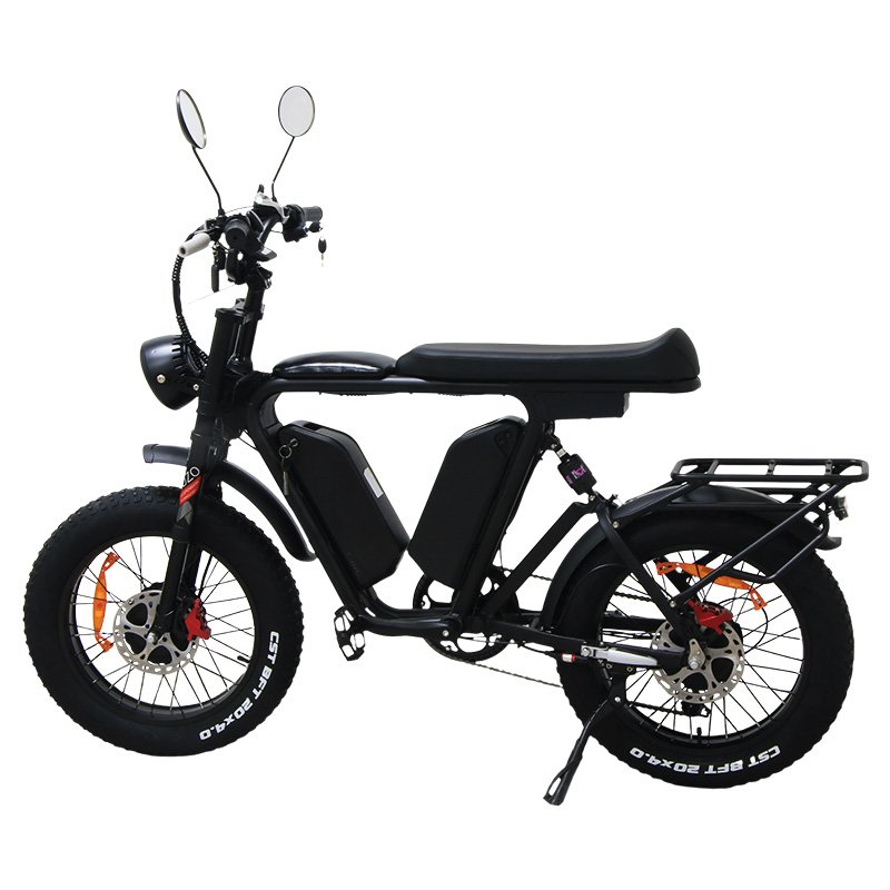 Popular maximum speed 55km/h1000w motor multi-function lightweight adult electric bike 48V 22ah electric mountain bike