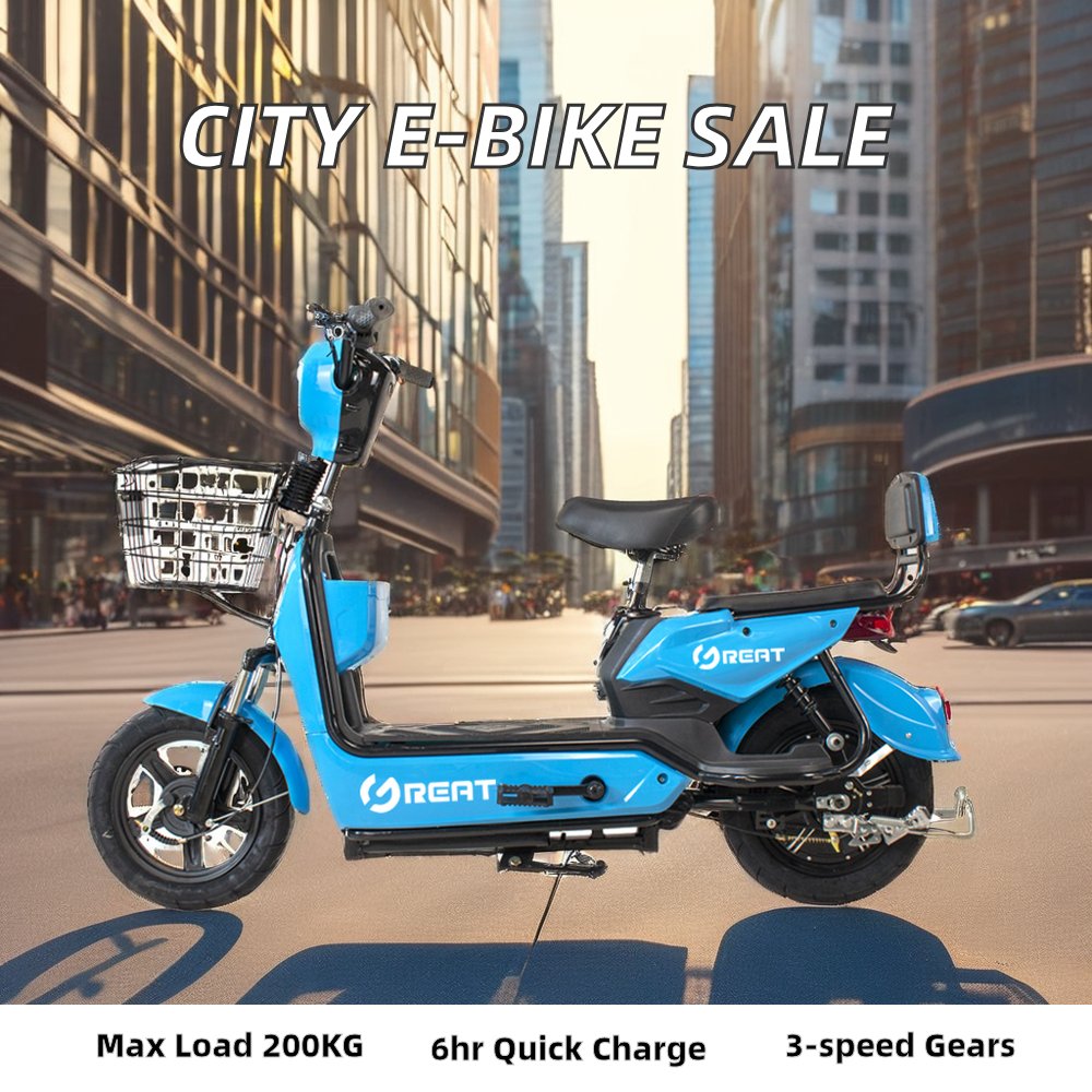 Factory Sale Wholesale 48V Electric City Bike Adults New Lithium Battery Power Supply 3 Speed Rear Hub Motor Smart Controller